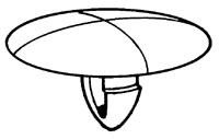 BO.191325M