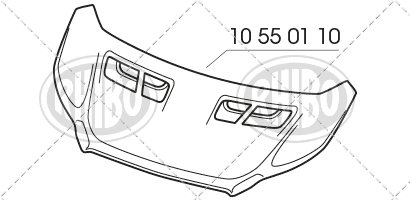 10 55 01 10