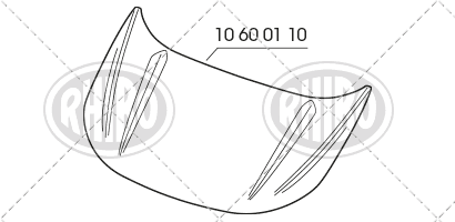 10 60 01 10