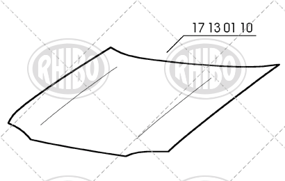 17 13 01 10