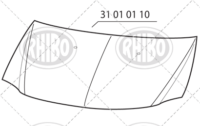 31 01 01 10