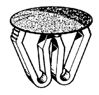 BO.190045S